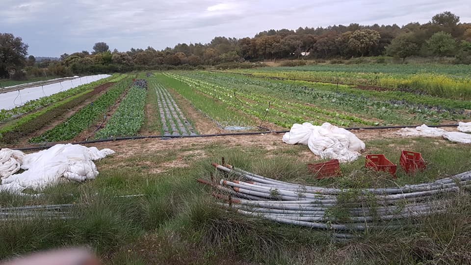 Les champs de la Ferme des Garrates