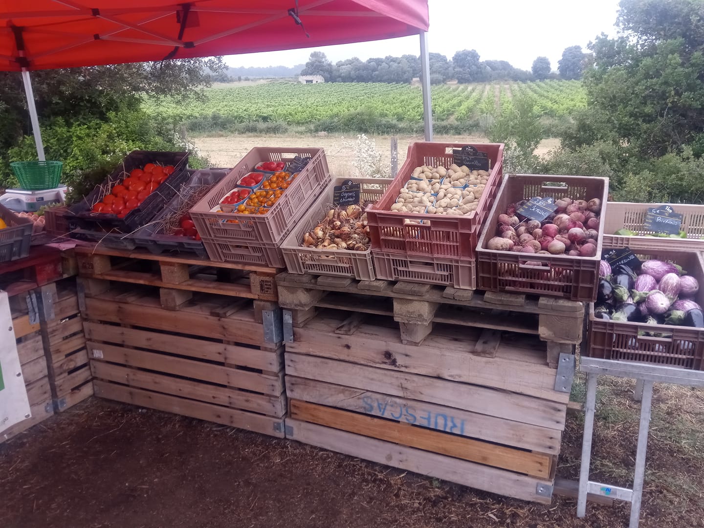 Vente directe à la ferme